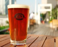 T.Y.HARBOR BREWERY クラフトビール