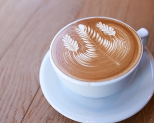 STREAMER Latte